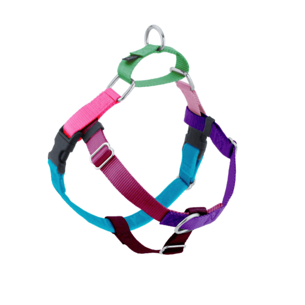 Jellybean Sugar no-pull freedom dog harness with double leash attachment points by Primemarket7