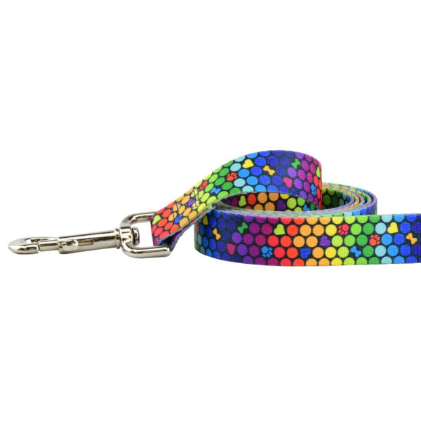 Close-up of dog leash with silver hardware featuring vibrant rainbow hexagon pattern by Primemarket7 - Earthstyle
