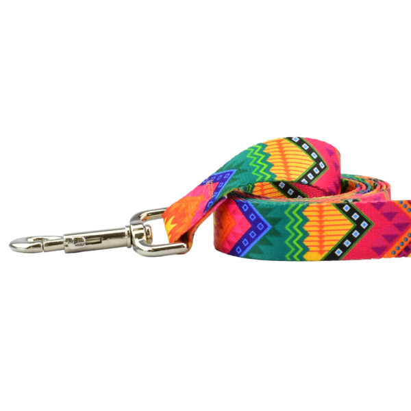Close-up of dog leash with silver hardware featuring multicolor geometric pattern by Primemarket7 - Earthstyle