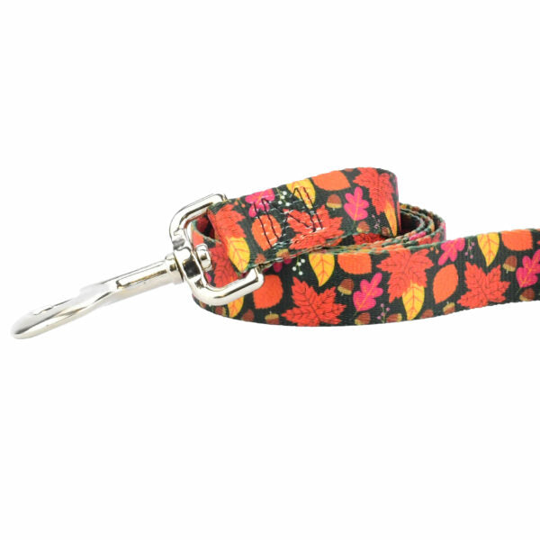Close-up of dog leash with silver hardware featuring fall leaf pattern in red, orange, and yellow by Primemarket7 - Earthstyle