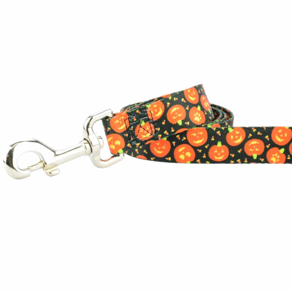 Close-up of dog leash with silver hardware featuring a smiling jack-o’-lantern print by Primemarket7 - Earthstyle