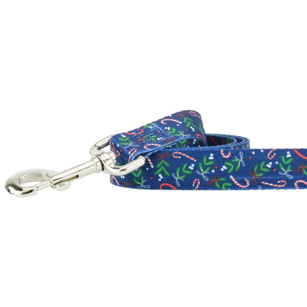 Close-up of dog leash with silver hardware featuring candy cane pattern on blue background by Primemarket7 - Earthstyle