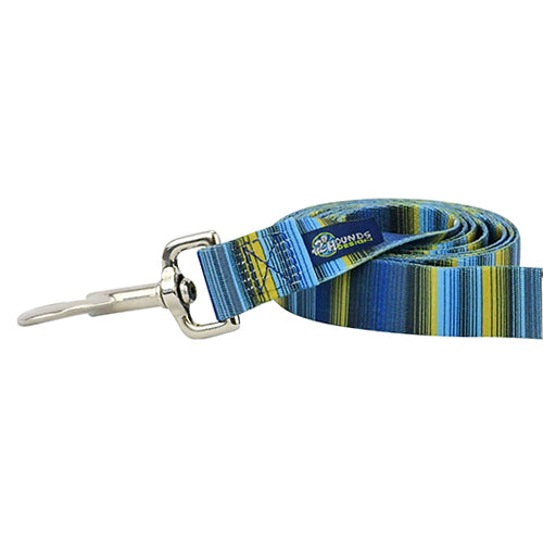 Close-up of dog leash with silver hardware featuring teal and green striped pattern by Primemarket7 - Earthstyle
