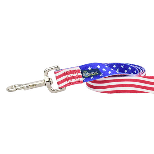 Close-up of dog leash with silver hardware featuring star-spangled wave pattern in white and gray by Primemarket7 - Earthstyle