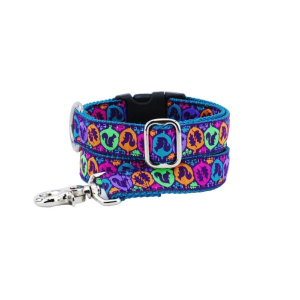 Matching bright multicolor dog leash and collar with squirrel silhouette design by Primemarket7 – fun and durable