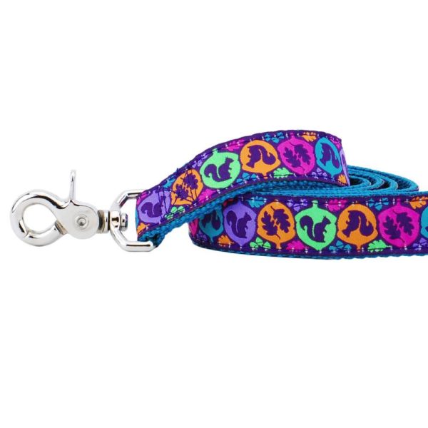Close-up of a bright multicolor dog leash with squirrel silhouette design by Primemarket7 – fun and durable
