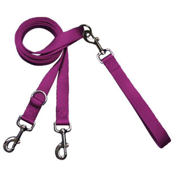 Raspberry dog leash with double-connection clips - Euro style for training and walking