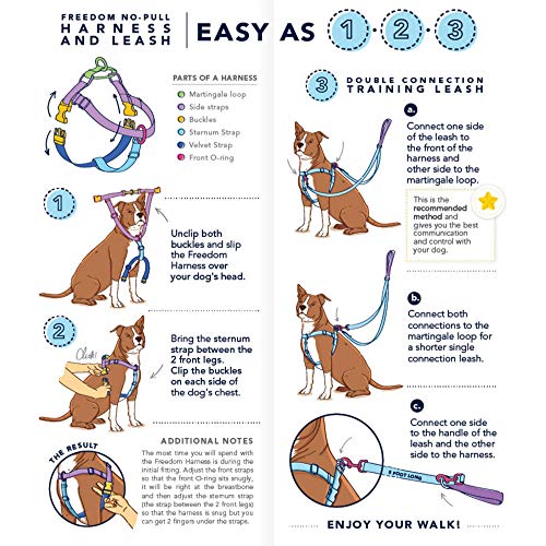 Diagram showing how to use a Primemarket7 Freedom Harness and training dog leash