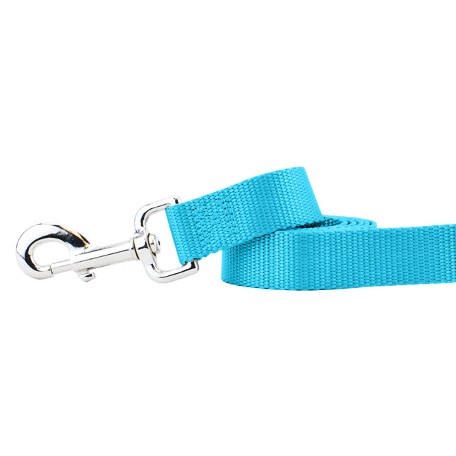 Turquoise Nylon Dog Leash