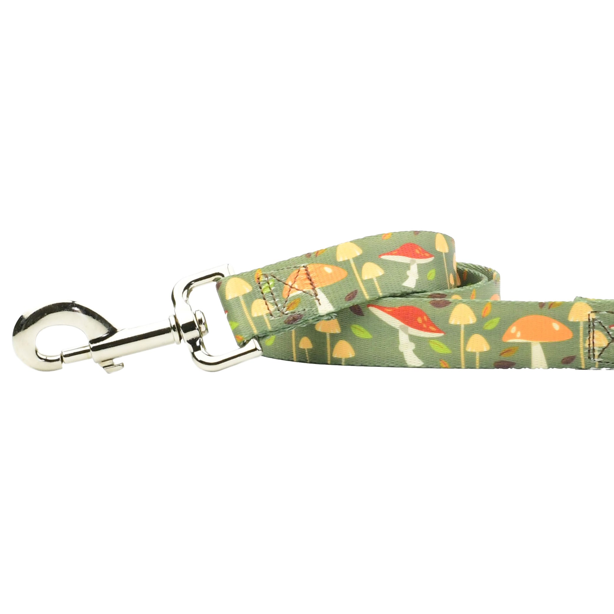 Forest Floor Dog Leash – EarthStyle