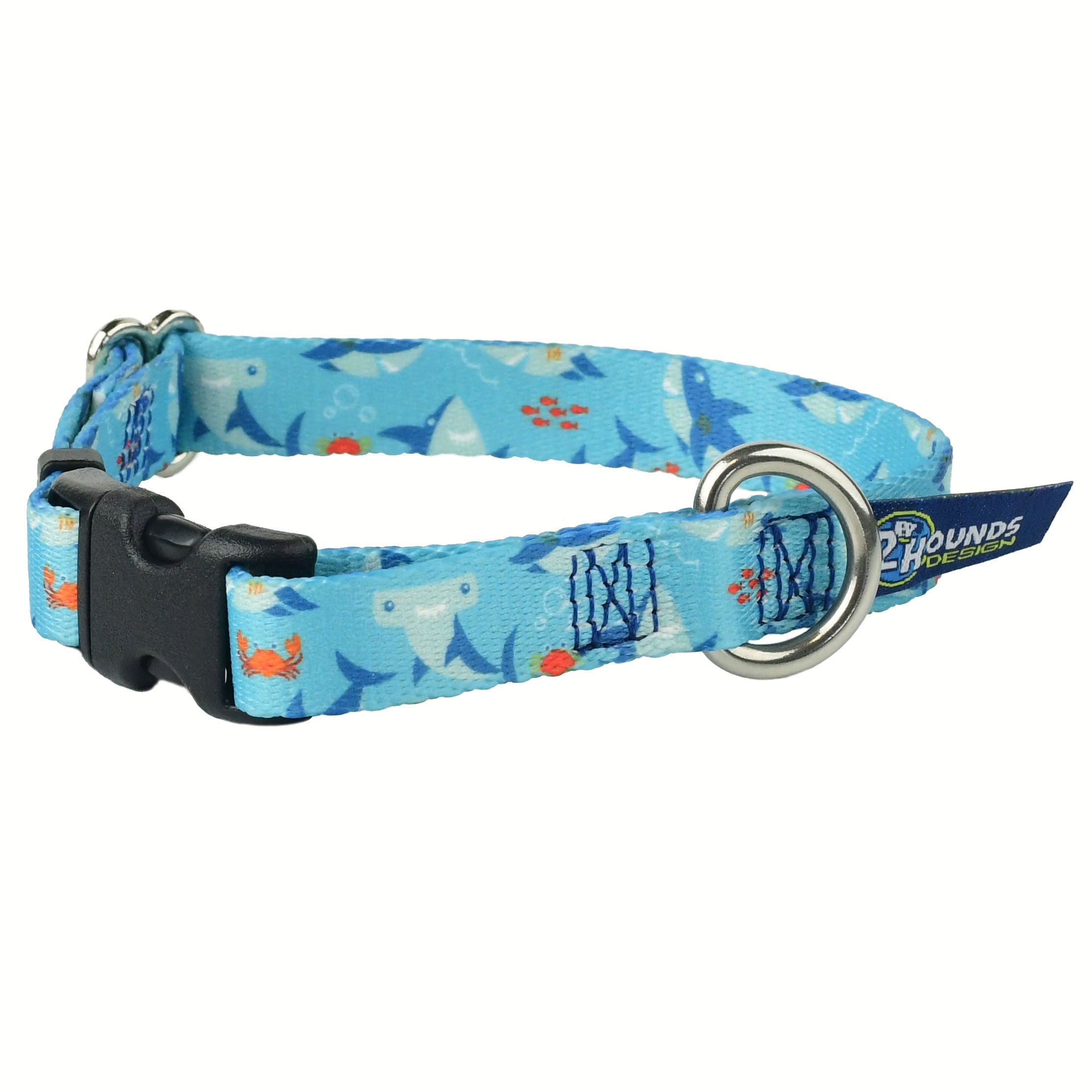 Sharky Party Dog Collar – EarthStyle