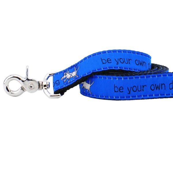 Close-up of blue 'be your own dog' motivational dog leash by Primemarket7 with silver hardware