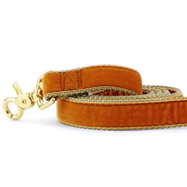 Close-up of  antique gold velvet dog leash with gold hardware by Primemarket7