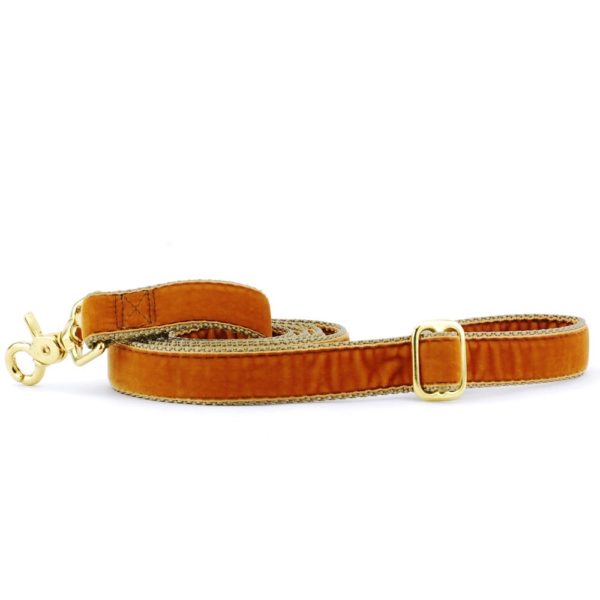 Antique Gold velvet dog leash with gold hardware and adjustable buckle by Primemarket7