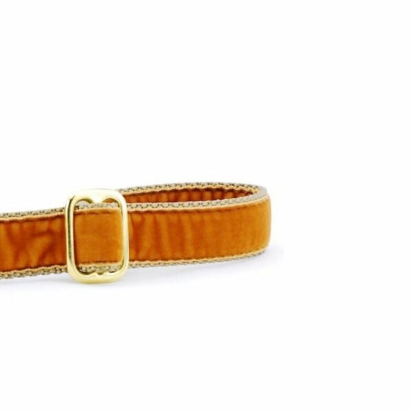 Close-up of antique gold velvet dog leash handle with adjustable feature by Primemarket7