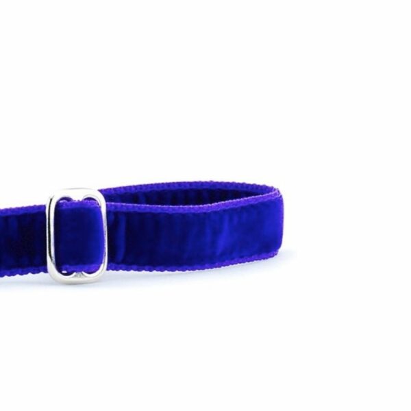 Close-up of purple swiss velvet dog leash handle, soft texture, and adjustable 