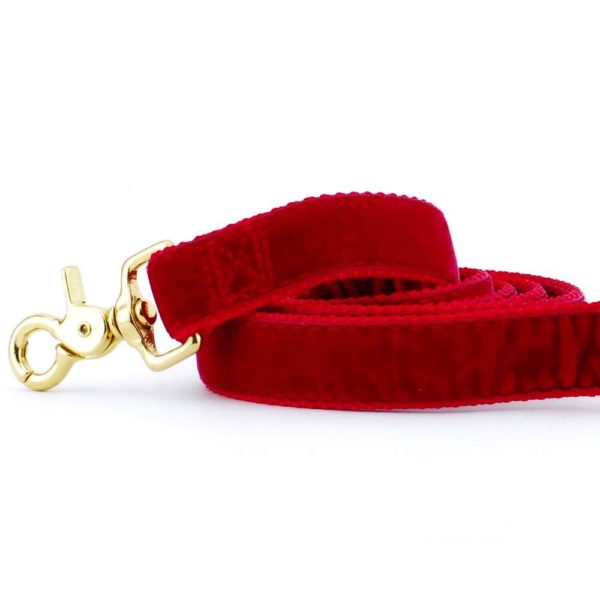 Close-up of red velvet dog leash with gold hardware by Primemarket7
