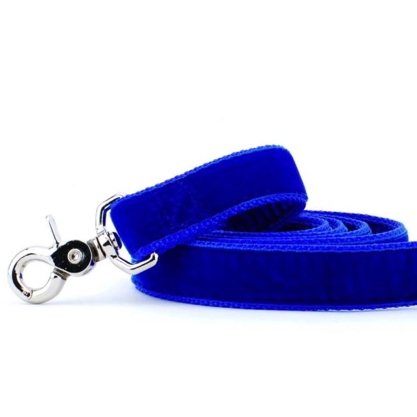 Close-up of  royal blue velvet dog leash with silver hardware by Primemarket7