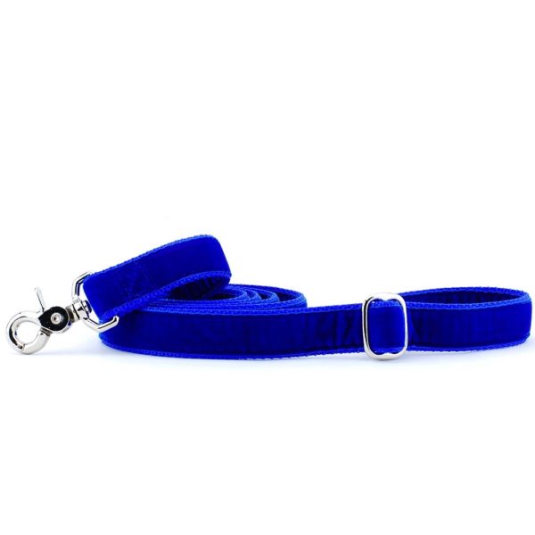 Royal blue velvet dog leash with silver hardware and adjustable buckle by Primemarket7