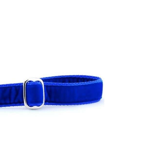Close-up of royal blue velvet dog leash handle with adjustable feature by Primemarket7