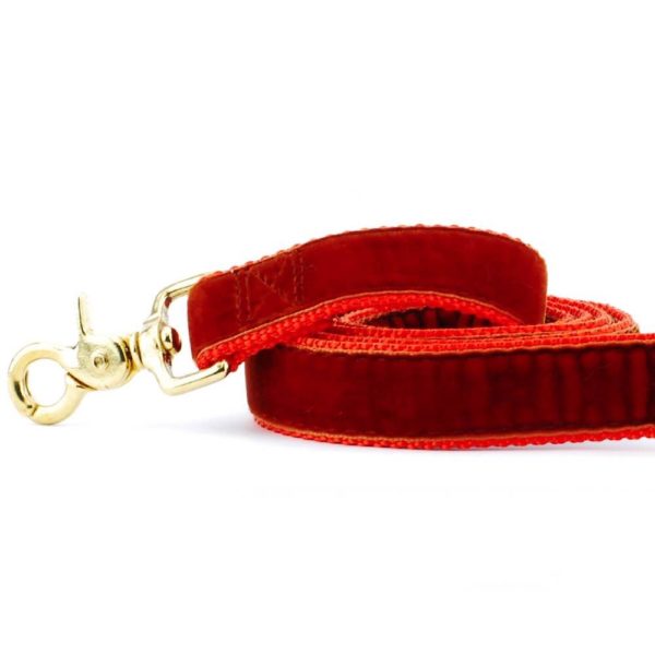 Close-up of 1" rust velvet dog leash with gold hardware by Primemarket7