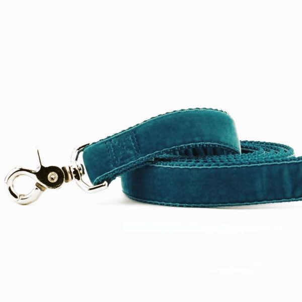 Close-up of teal velvet dog leash with silver hardware by Primemarket7