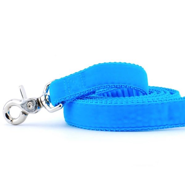 Close-up of turquiose velvet dog leash with silver hardware by Primemarket7