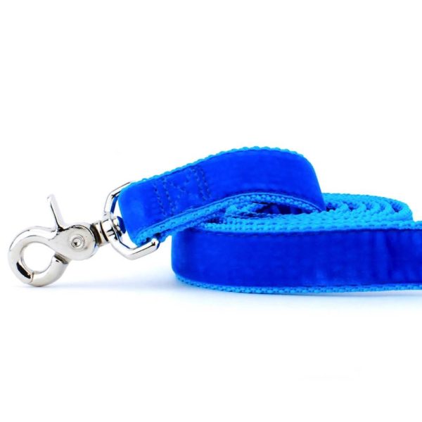 Close-up of  Venetian blue velvet dog leash with silver hardware by Primemarket7