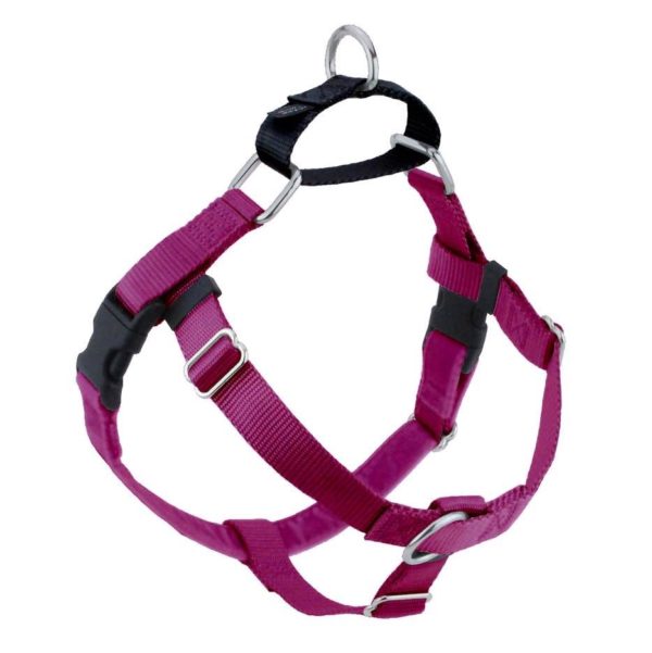 Raspberry no-pull freedom dog harness with double leash attachment points by Primemarket7