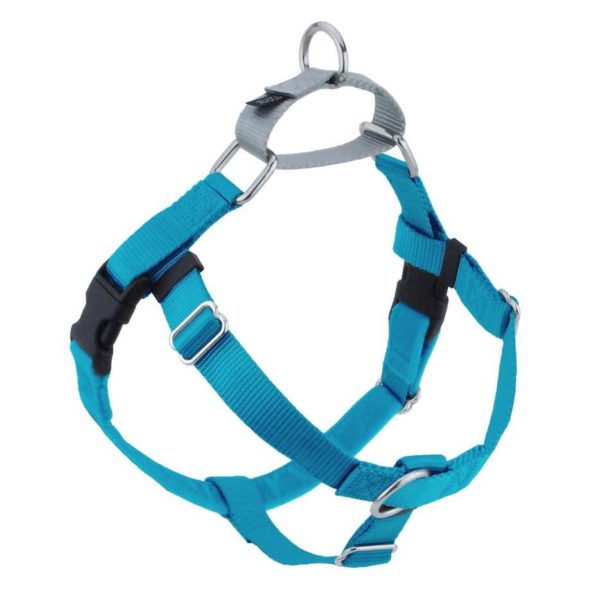 Turquoise no-pull freedom dog harness with double leash attachment points by Primemarket7